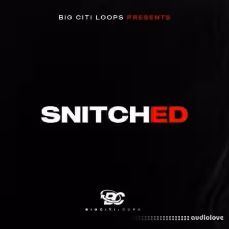 Big Citi Loops Snitched [WAV]