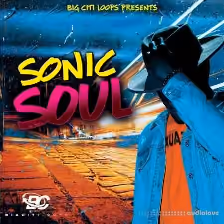 Big Citi Loops Sonic Soul [WAV]