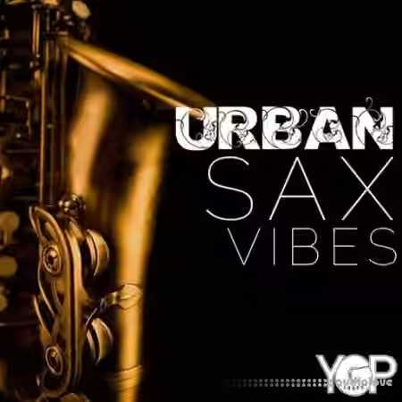 Big Citi Loops Urban Sax Vibes [WAV]