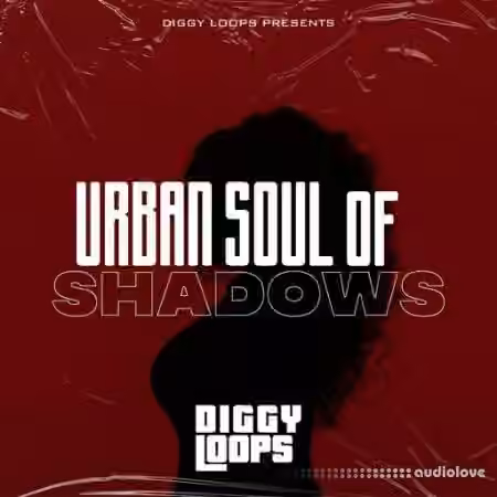 Big Citi Loops Urban Soul Of Shadows [WAV]