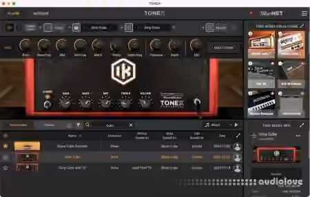 Big Hairy Profiles IK TONEX CUST3 [Synth Presets]