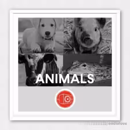 Big Room Sound Animals [WAV]