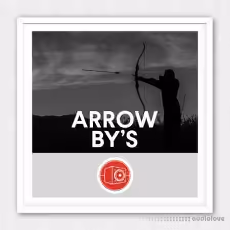 Big Room Sound Arrow By's [WAV]