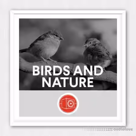 Big Room Sound Birds and Nature [WAV]