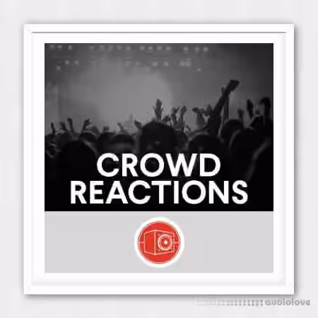 Big Room Sound Crowd Reactions [WAV]