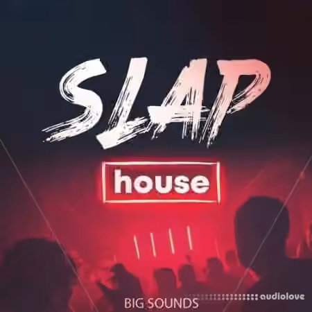 Big Sounds Slap House [WAV, MiDi, Synth Presets]