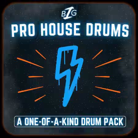 Big Z Sounds Big Z's Pro House Drums [WAV]