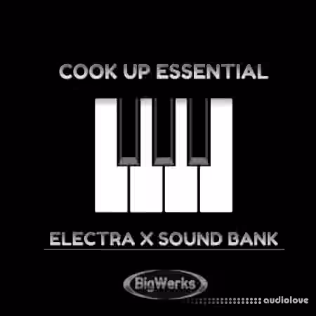 BigWerks Cook Up Essentials [Synth Presets]