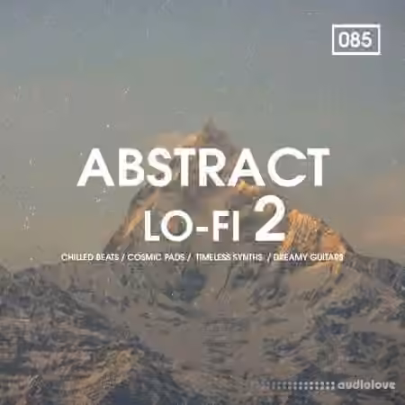 Bingoshakerz Abstract Lo-Fi 2 [WAV, MiDi, REX]