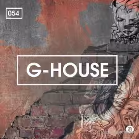 Bingoshakerz G-House [WAV, MiDi]