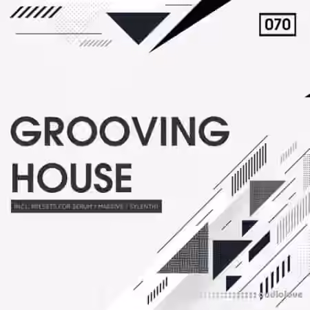 Bingoshakerz Grooving House [WAV, Synth Presets]