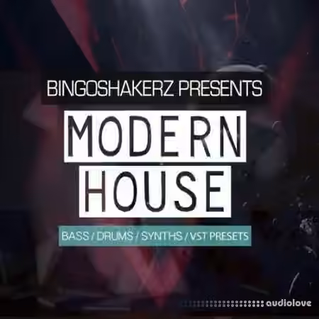 Bingoshakerz Modern House [WAV, Synth Presets]