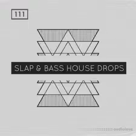 Bingoshakerz Slap and Bass House Drops [WAV, MiDi, REX]