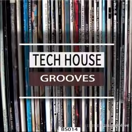 Bingoshakerz Tech House Grooves [WAV]