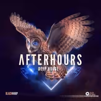 Black Octopus Sound Afterhours Deep House [WAV]