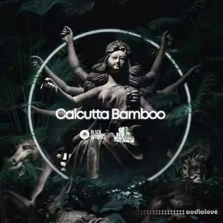 Black Octopus Sound Basement Freaks Presents Calcutta Bamboo [WAV]