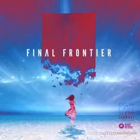 Black Octopus Sound CallumCantSleep Final Frontier [WAV, Synth Presets] - Sample Pack Artwork