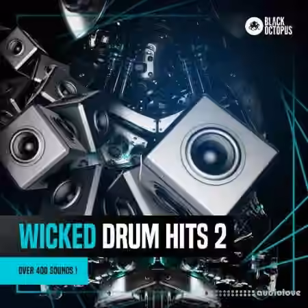 Black Octopus Sound Wicked Drum Hits 2 [WAV]