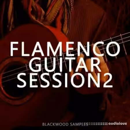 Blackwood Samples Flamenco Guitar Session 2 [WAV]