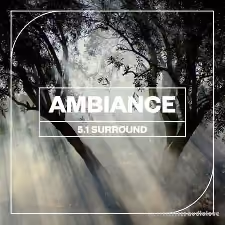 Blastwave FX Ambiance 5.1 Surround [WAV]