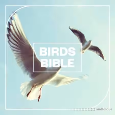 Blastwave FX Birds Bible [WAV]