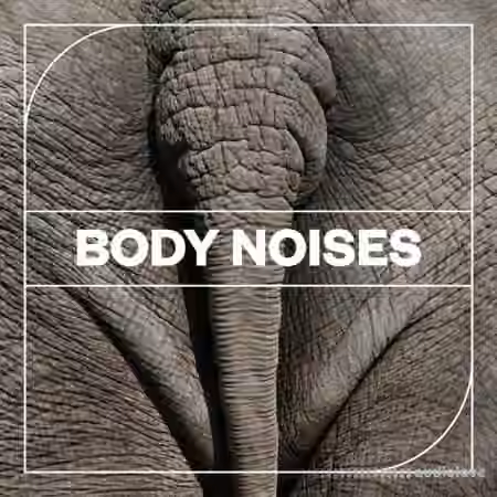Blastwave FX Body Noises [WAV]