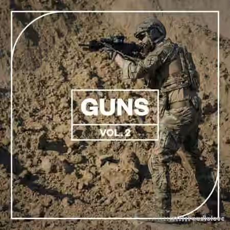 Blastwave FX Guns Vol. 2 [WAV]
