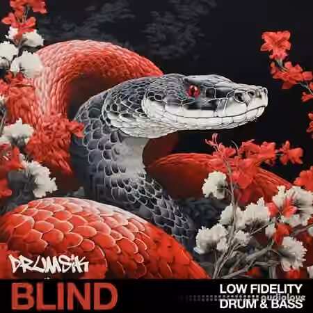 Blind Audio Low Fidelity Drum and Bass [WAV]