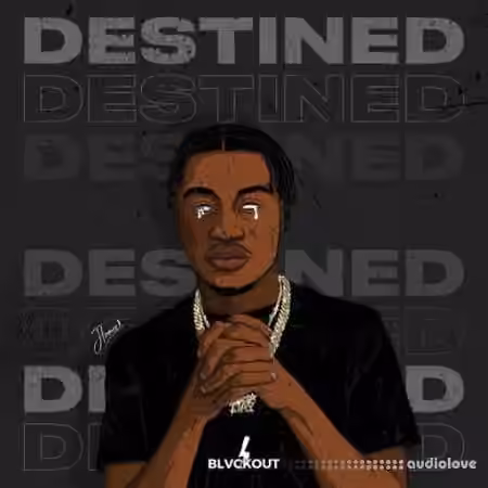 Blvckout Destined [WAV]
