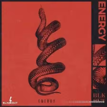 Blvckout Energy [WAV]