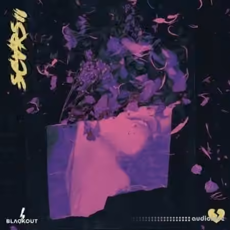 Blvckout Scars 2 [WAV]