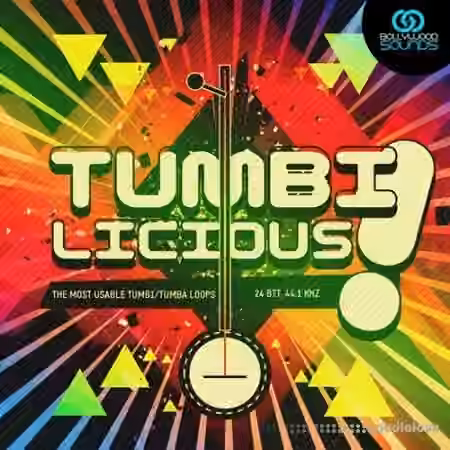 Bollywoodsounds Tumbilicious Tumbi Loops [WAV, REX, AiFF]