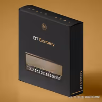 Boutique Tones BT Ecstasy [Synth Presets]