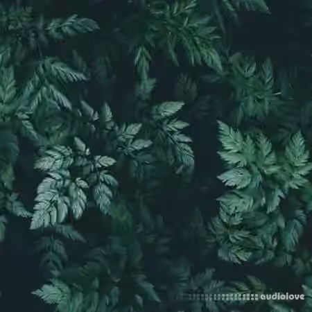 Bruferrbeatz Sage (Drumkit) [WAV]