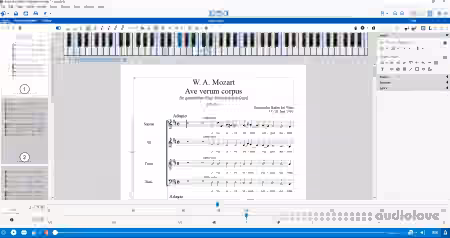 Capella-software Capella v8.0.16 [WiN]