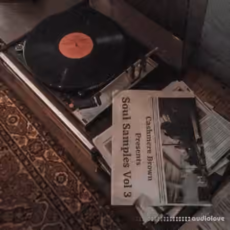 Cashmere Brown Rare Soul Samples Vol.3 [WAV]