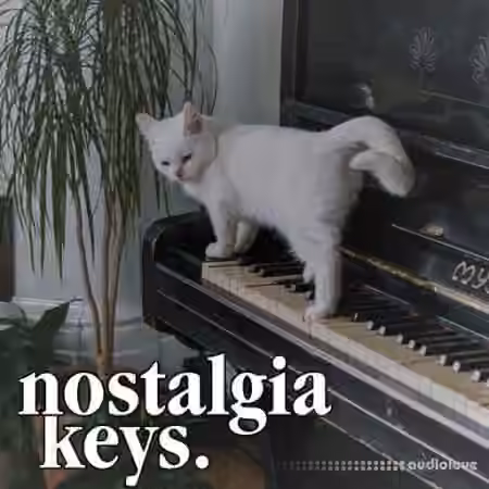 Clark Samples Nostalgia Keys [WAV]
