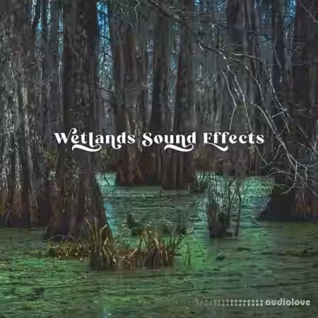 Close to Nature Music Ensemble Wetlands Sound Effects [FLAC]