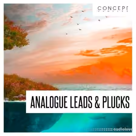 Concept Samples Analogue Leads and Plucks [WAV]