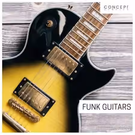 Concept Samples Funk Guitars [WAV]