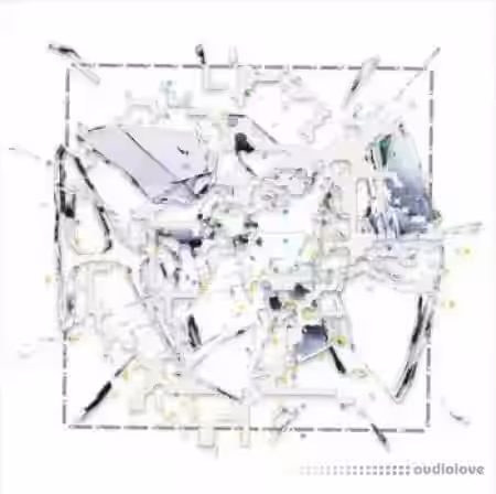 Cryptic Anomaly [ Pre-order ] [WAV]