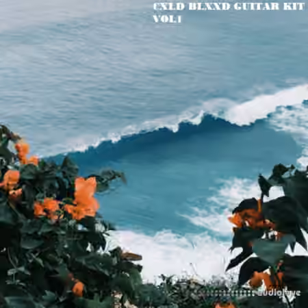 CXLD BLXXD Guitar Kit Vol.1 [WAV]