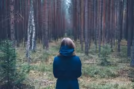 Dacodaji Black Forest Ambiance Generator [Synth Presets]