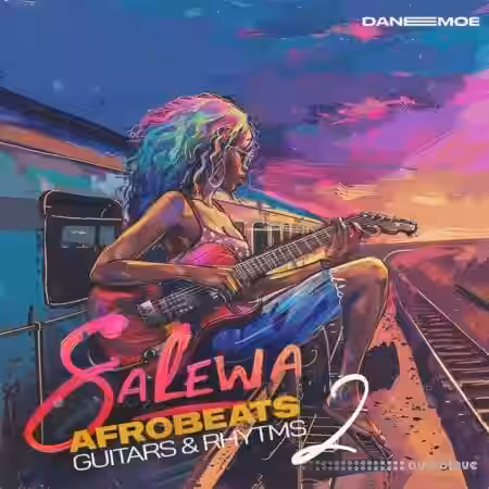 Daneemoe Salewa Vol 2 Afrobeats Guitars And Rhythms [WAV]