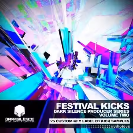 Dark Silence Sound Design Festival Kicks Volume 2 [WAV]