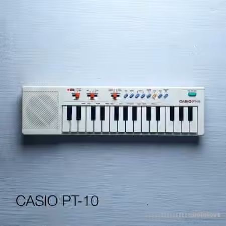 David Hilowitz Casio PT-10 and Friends by Decent Samples [Decent Sampler] v1.1 [Synth Presets]
