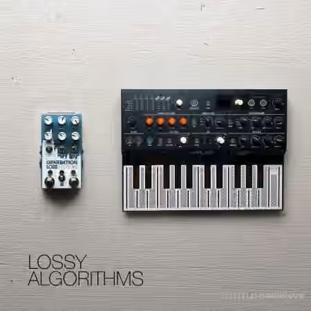 David Hilowitz Lossy Algorithms [Patreon Exclusive] [Decent Sampler] [Synth Presets]