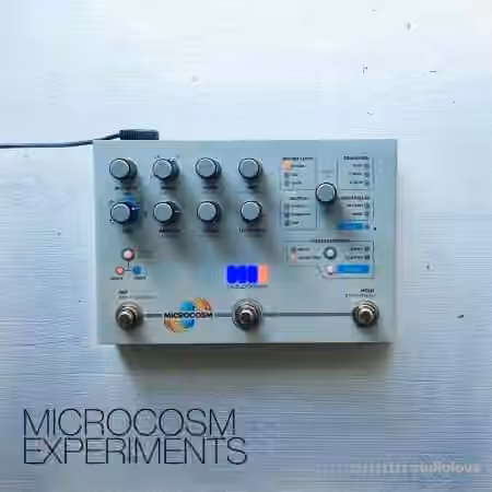 David Hilowitz Microcosm Experiments [Patreon Exclusive] [Decent Sampler] [Synth Presets]