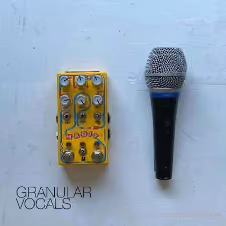 David Hilowitz Patron Exclusive: Granular Vocals Sample Library [Synth Presets]
