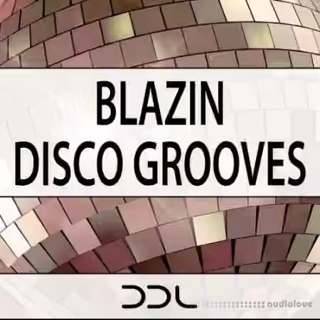 Deep Data Loops Blazin Disco Grooves [WAV, MiDi]